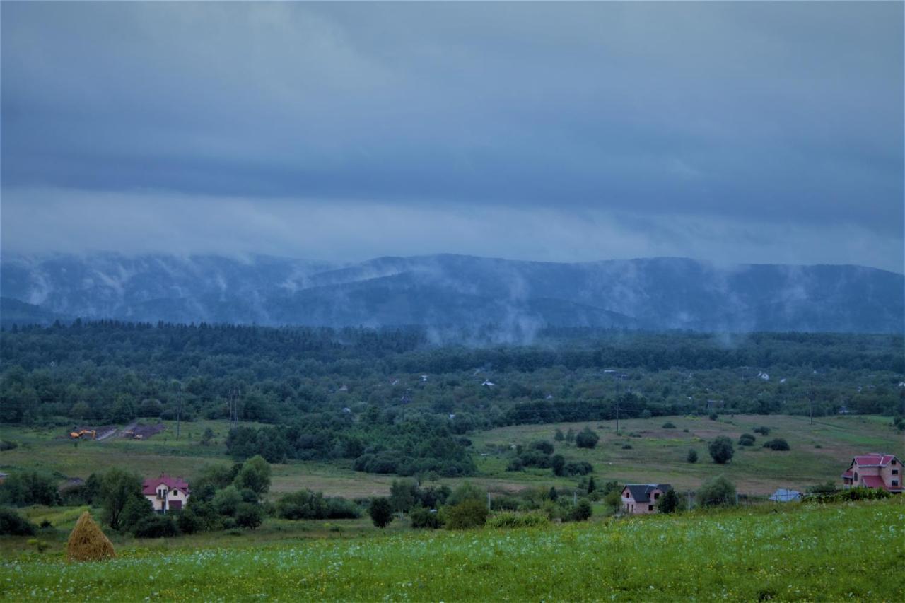 Villa Family House Truskavets Modrychi ภายนอก รูปภาพ